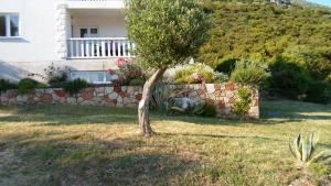 Zahrada ubytování Apartments Barić Kučište