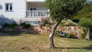 Zahrada ubytování Apartments Barić Kučište