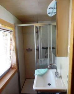 y baño pequeño con lavabo y ducha. en Gästehaus Conny, en Prägraten am Großvenediger