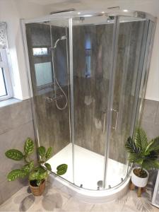 une cabine de douche dans une salle de bains avec deux plantes dans l'établissement Cosy country cottage with outdoor bathing, à Halkyn