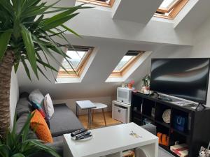 a living room with skylight ceilings and a tv at Sabrinas Studio BB&B in Bristol