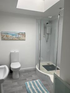 a bathroom with a shower and a toilet and a sink at Castle View Dover in Dover