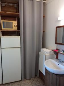 uma casa de banho com um lavatório e um micro-ondas em Le Tuléar - Résidence Gandhi em Saint-Pierre