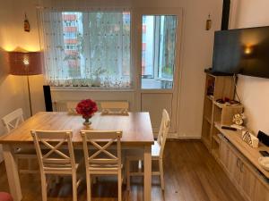 d'une salle à manger avec une table, des chaises et une fenêtre. dans l'établissement Oli's Mountain Apartment, à Buşteni