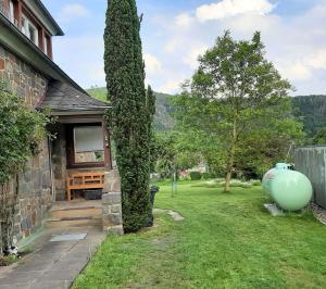 a house with a large tree next to a yard at Das Vogelhaus in Hemfurth-Edersee