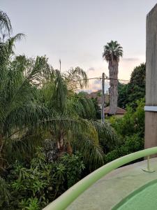 a view of a garden with palm trees at בית מרום in Gan Shomeron