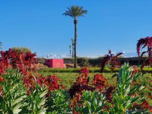 Φωτογραφία από το άλμπουμ του Bakkal Farm Agrolodge στο Μαρακές