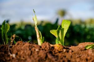 Φωτογραφία από το άλμπουμ του Bakkal Farm Agrolodge στο Μαρακές