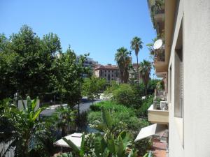 uma vista para uma rua com palmeiras e um edifício em Palermo eleganza in centro città em Palermo