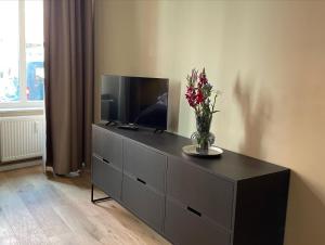 a dresser with a tv and a vase with flowers on it at Fisher´s Loft Studio in Lübeck