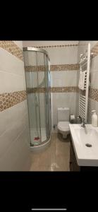 フィレンツェにあるAusoniaのバスルーム(シャワー、トイレ、シンク付)