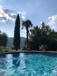 a swimming pool with two chairs and a palm tree at Cà di Mora in Lisciano Niccone