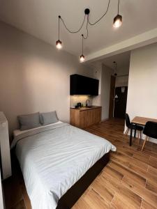 Televízia a/alebo spoločenská miestnosť v ubytovaní Property Apart - plac Jana Pawla II Centrum