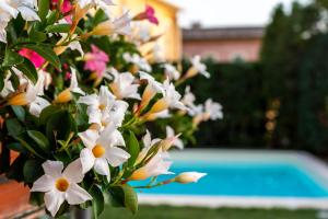 Albergo Ristorante Il Terziere