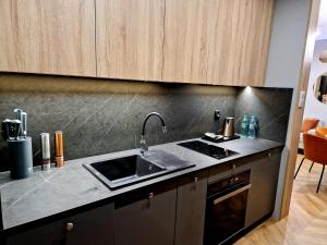 Kuchyňa alebo kuchynka v ubytovaní Apartament Zamojski Rynek 21 + 15 fotografií