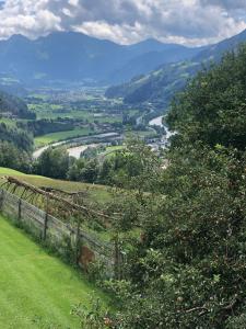 una vista del valle desde una colina con un manzano en Ferienwohnung Kendlbacher en Bischofshofen