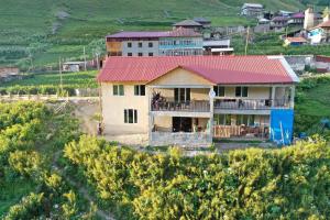 Adishiguest house caucasioni的山坡上一座红色屋顶的房子