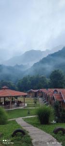 Landskap semula jadi dekat dengan rumah tamu ini