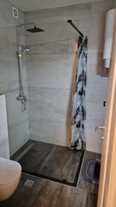 uma casa de banho com um chuveiro e um WC. em Wellness apartment BLACK-WHITE em Široki Brijeg
