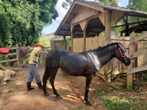 un hombre de pie junto a un caballo negro en Sitio Natividade en Delfim Moreira