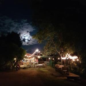 Dreamhome Chiangdao外面的花园
