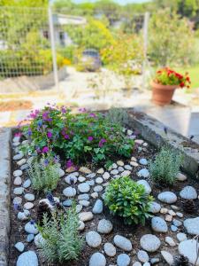 a garden with flowers and rocks and plants at Palio Villa in Paleo Tsifliki