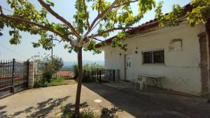 a tree in front of a white building with a table at Anastasia's House near Kalamata in Dhesíllas