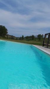 una grande piscina di acqua blu accanto a un campo di Sotto La Vigna Charm Stay Adults only vacation Appartement Hayloft a Montegrosso dʼAsti