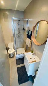 La salle de bains est pourvue d'une douche, de toilettes et d'un lavabo. dans l'établissement Enghien T2 Coeur de ville 12 mn de Paris, à Enghien-les-Bains