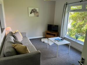 TV a/nebo společenská místnost v ubytování Loch Eyre Cottage