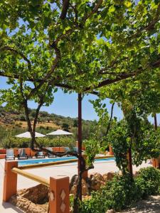 uma vista para uma piscina com árvores em Casa rural Antonio y Esperanza em Periana