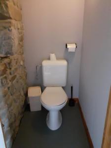 a bathroom with a white toilet and a stone wall at La Ferme de Werpin in Hotton +40 photos