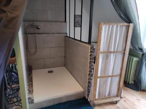 a bathroom with a shower and a ladder at La Demeure de Cyr in Saint-Chamant
