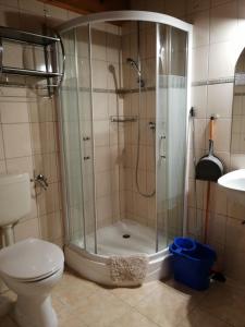 uma casa de banho com um chuveiro e um WC. em Flóra Apartmanok em Kehidakustány