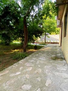 O grădină în afara Hotel Villa Eniseli