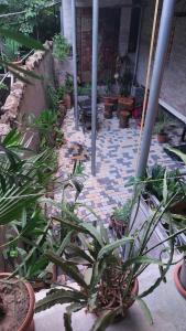 Jardín al aire libre en Riverside Hotel