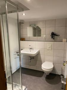 W łazience znajduje się toaleta, umywalka i prysznic. w obiekcie Haus Ebenberghof w mieście Zell am See