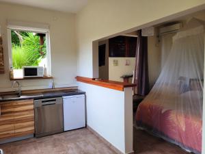 - une cuisine avec évier et un lit dans une chambre dans l'établissement Villa Dream, à Deshaies