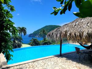 a swimming pool with a view of the ocean at Villa Dream in Deshaies