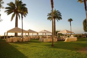 un grupo de mesas y sombrillas en un campo con palmeras en Park Hotel Villa Grazioli, en Grottaferrata