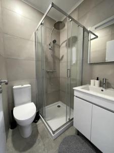 a bathroom with a shower and a toilet and a sink at CASA ALCOCHETANA in Alcochete
