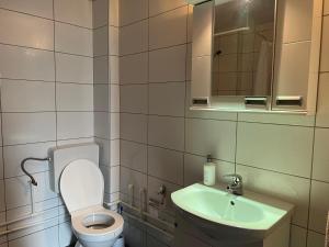 un bagno con un water, un lavandino e uno specchio di Mokra Gora Central Apartments a Mokra Gora