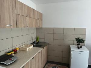 Cucina o angolo cottura di Mokra Gora Central Apartments