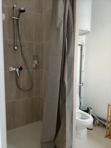 a bathroom with a shower with a toilet and a shower curtain at La Grimodière Chambre en rez de chaussée in Ranville
