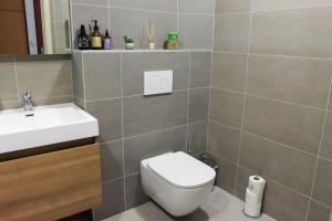 a bathroom with a toilet and a sink at Pohodlný apartmán s ptačí zahradou in Uherské Hradiště