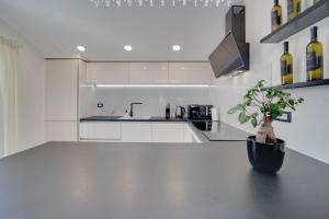 Kuchyň nebo kuchyňský kout v ubytování BLACK DIAMOND Apartment