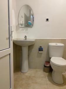 een badkamer met een wastafel, een toilet en een spiegel bij Hotel Villa Eniseli in Eniseli