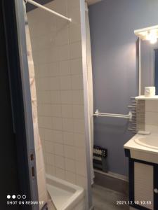 La salle de bains est pourvue d'une douche, de toilettes et d'un lavabo. dans l'établissement Résidence l'hippocampe, à Mers-les-Bains