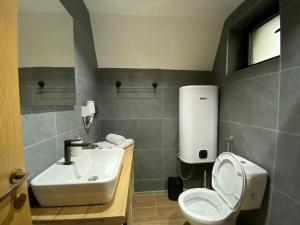 a bathroom with a white toilet and a sink at DANDELION HOUSE in Žabljak +22 photos