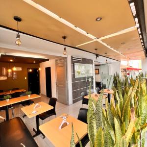 a restaurant with tables and chairs and cactus plants at Hotel Volare in Armenia